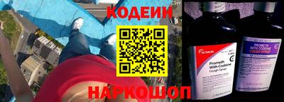 СК Кингисепп