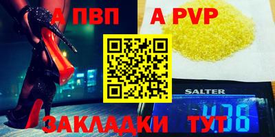 СК Кингисепп