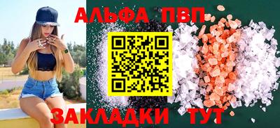 СК Кингисепп