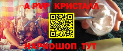 СК Кингисепп