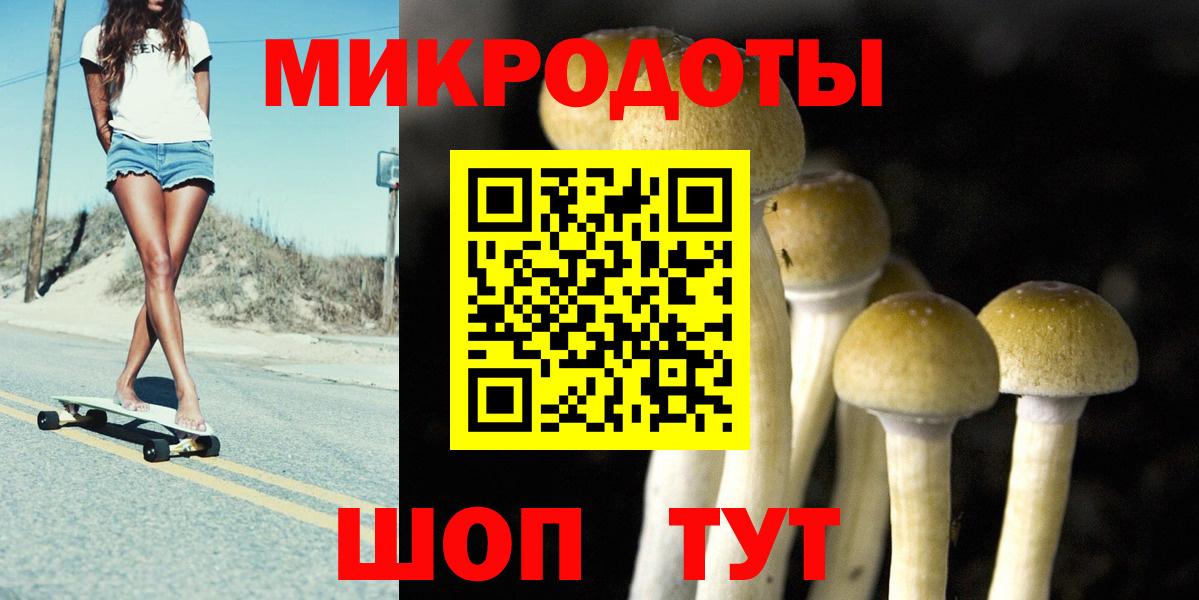Галлюциногенные грибы Psilocybine cubensis Лесной